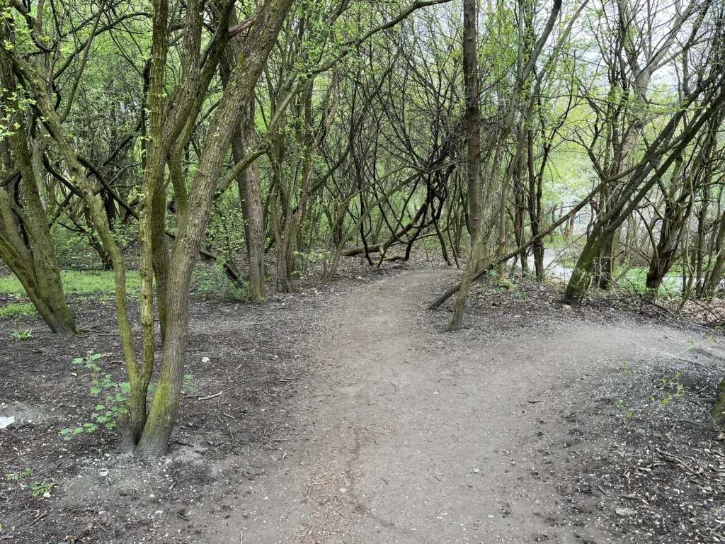 IMG_6264