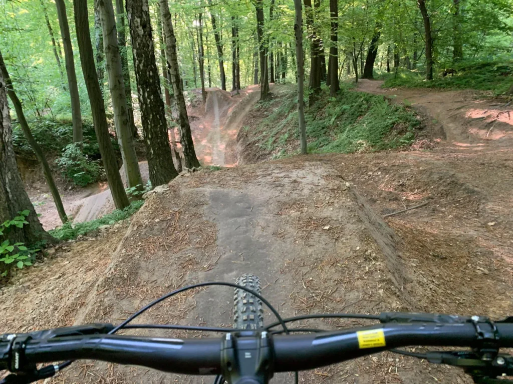 MTB-LasWolski10