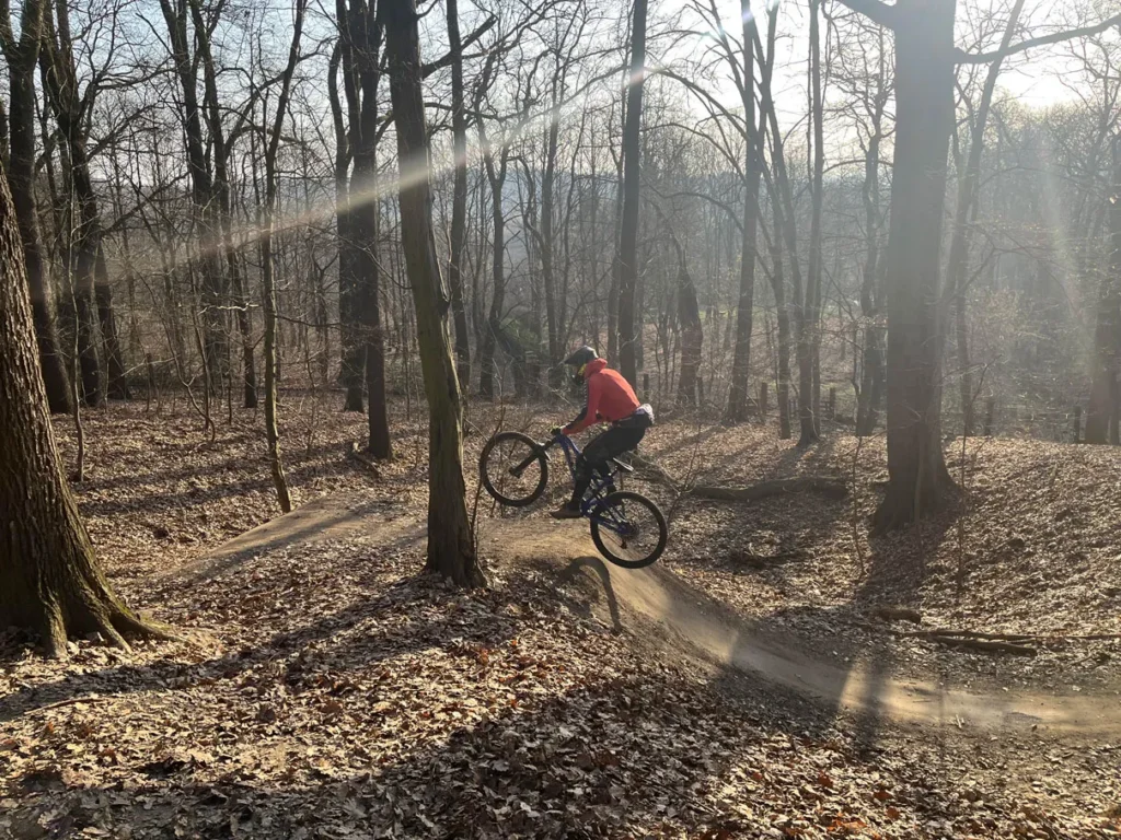 MTB-LasWolski12