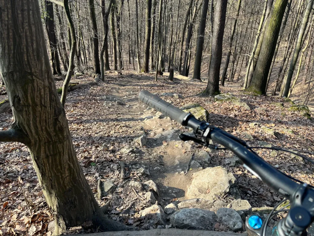 MTB-LasWolski16