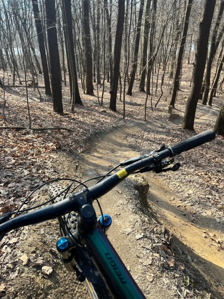 MTB-LasWolski17