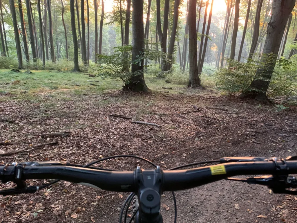 MTB-LasWolski21