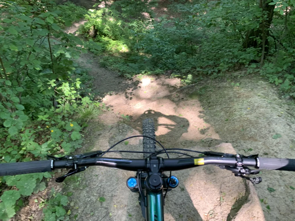 MTB-LasWolski4