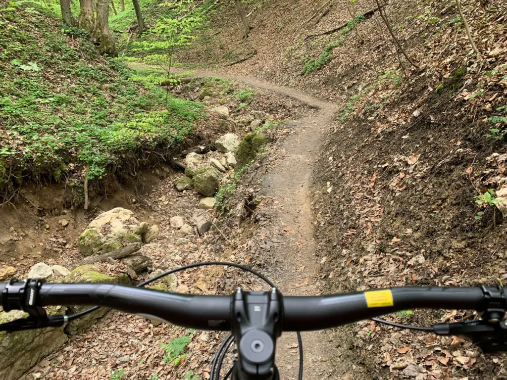 MTB-LasWolski9