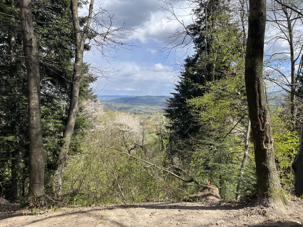 beskid-mountains-view
