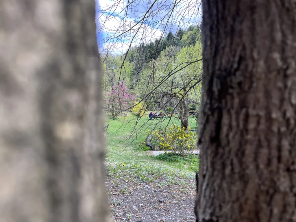 garden-view-old-poland