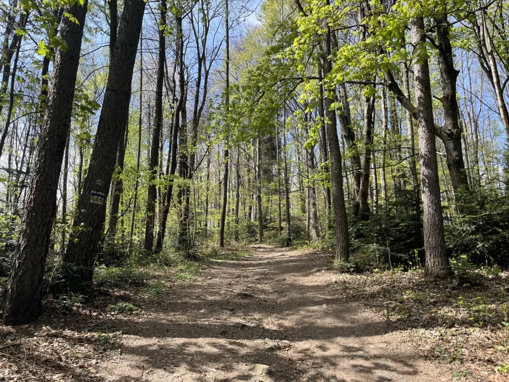 hike-castle-lanckorona