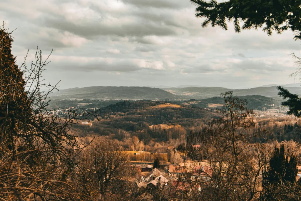 jakub-pabis-WUMg8Tgf40k-unsplash